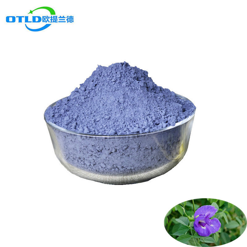 Wholesale Butterfly pea flower extract Blue Matcha powder Nature